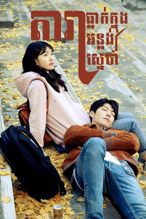 함부로 애틋하게 poszter