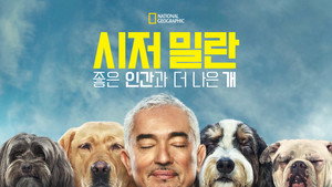 Cesar Millan: Jó gazdi, jó kutya kép