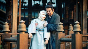 藏海传 kép