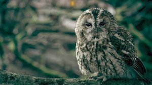 Secret Garden 1. évad Ep.4 4. epizód