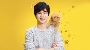 상상고양이 kép