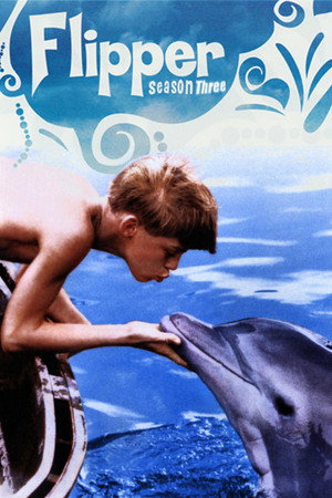 Flipper 3. évad (1966-09-17) poszter