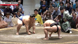 GRAND SUMO Highlights 31. évad Ep.9 9. epizód