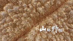 知味兴安盟 1. évad Ep.1 1. epizód