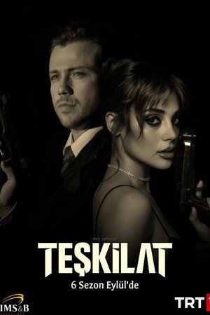 Teşkilat poszter