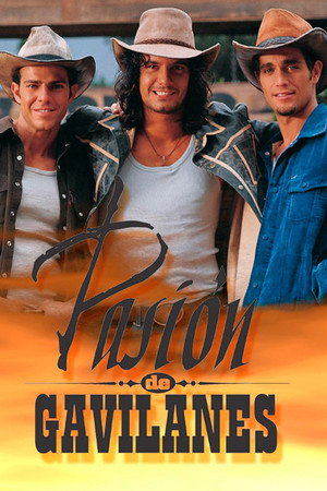 Pasión de gavilanes poszter