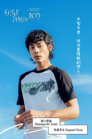 向流星許願的我們 poszter