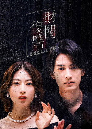 財閥復讐〜兄嫁になった元嫁へ〜 poszter