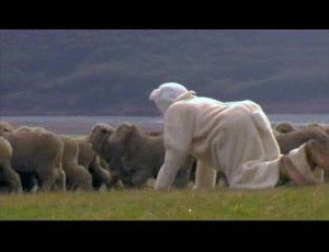 Wildboyz 1. évad Ep.7 7. epizód