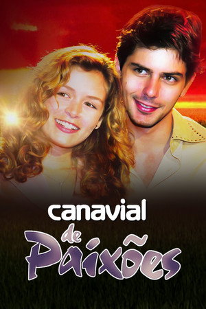 Canavial de Paixões 1. évad (2003-10-13) poszter
