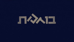 בודקת kép