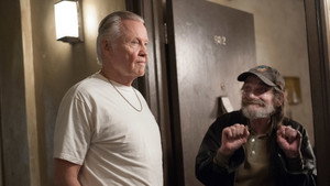 Ray Donovan 2. évad Ep.10 Volcheck