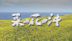 菜の花の沖 kép