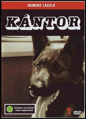 Kántor poszter
