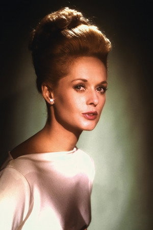 Tippi Hedren profil kép