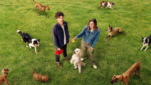 Dog Park kép