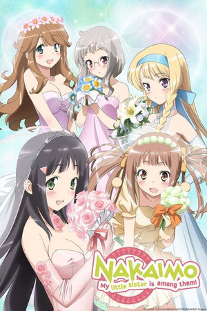 この中に１人、妹がいる！ Speciális epizódok (2013-03-27) poszter
