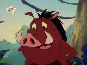 Timon és Pumba a Föld körül 3. évad Ep.11 11. epizód