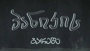 პანიკის გარეშე kép