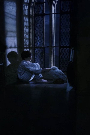 Harry Potter poszter