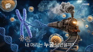 취미는 과학 1. évad Ep.66 66. epizód