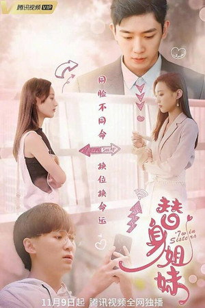 替身姐妹 poszter