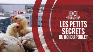 Complément d'enquête 25. évad Ep.11 11. epizód