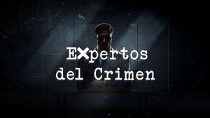 eXpertos del crimen kép