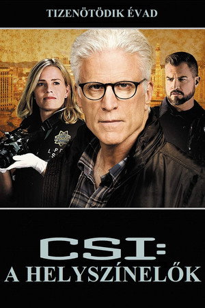 CSI: A helyszínelők 15. évad (2014-09-28) poszter