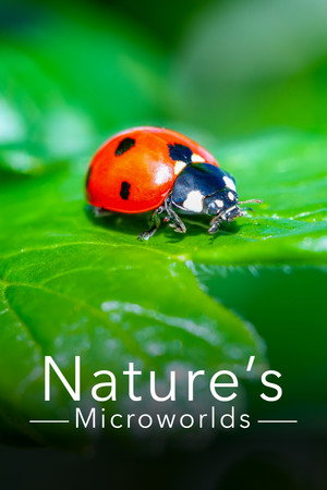 Nature's Microworlds 1. évad (2012-07-16) poszter