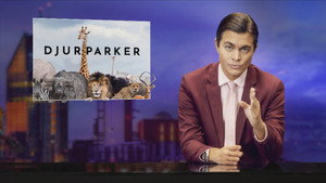 Svenska nyheter 11. évad Ep.2 2. epizód