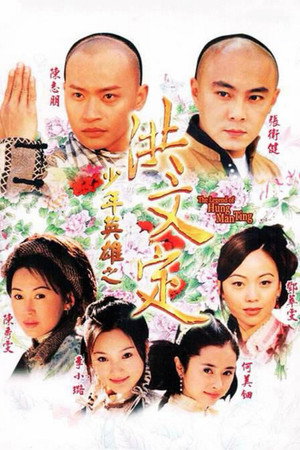 少年英雄之洪文定 1. évad (2001-01-01) poszter
