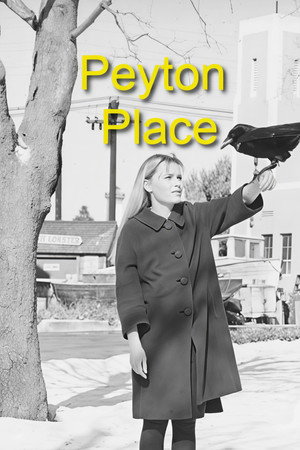 Peyton Place poszter
