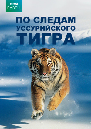 Operation Snow Tiger poszter