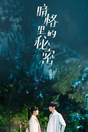 暗格里的秘密 poszter