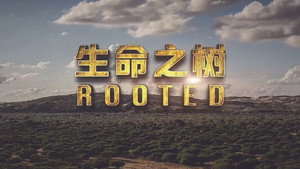 Rooted kép