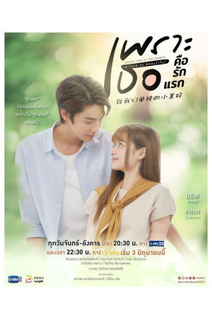เพราะเธอคือรักแรก poszter