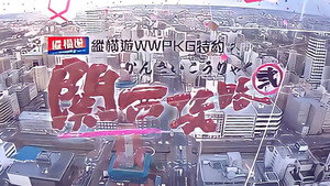 關西攻略貳 kép