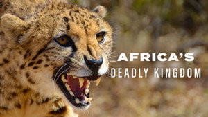 Halálos Afrika kép