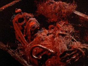 Swamp Thing 3. évad Ep.21 21. epizód