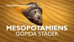 Vetenskapens värld 50. évad Ep.10 10. epizód