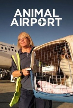 Animal Airport poszter
