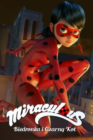 Miraculous Katicabogár és Fekete Macska kalandjai poszter