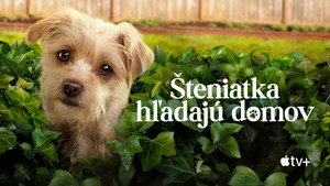 Kutyuskuckó kép