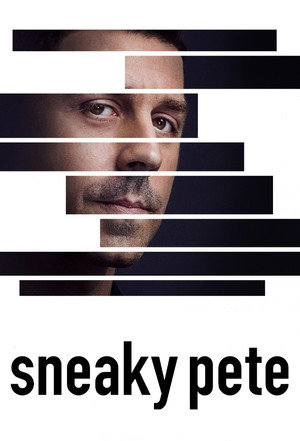 A szélhámos poszter