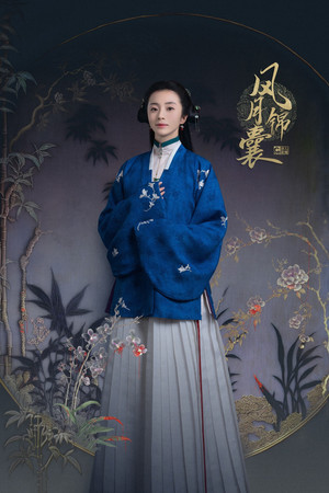 锦囊妙录 poszter
