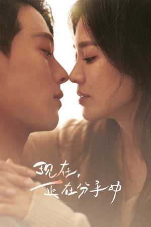 지금, 헤어지는 중입니다 poszter