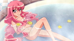 ゼロの使い魔 kép