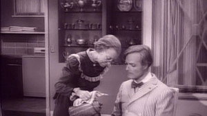 The Beverly Hillbillies 3. évad Ep.31 31. epizód
