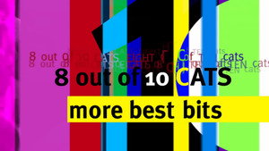 8 Out of 10 Cats 19. évad Ep.12 12. epizód